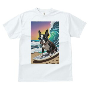 {XgeA TVc  j[NfUCfB[X t@  t vg lJWA 킢 lԗp Mtg I ҏ΍ g {XgeA T[tB r[` T