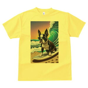 {XgeA TVc  j[NfUCfB[X t@  t vg lJWA 킢 lԗp Mtg I ҏ΍ g {XgeA T[tB r[` T