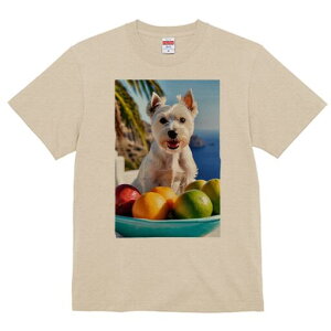 EGXgnChzCgeA TVc  j[NfUCfB[X t@  t vg lJWA 킢 lԗp Mtg I ҏ΍ t[c EGXgnC