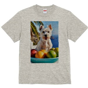 EGXgnChzCgeA TVc  j[NfUCY LbY t@  t vg lJWA 킢 lԗp Mtg I ҏ΍ t[c EGXg