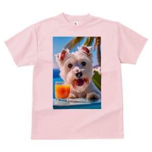 EGXgnChzCgeA TVc  j[NfUCfB[X t@  t vg lJWA 킢 lԗp Mtg I ҏ΍ W[X EGXgnC