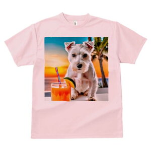 EGXgnChzCgeA TVc  j[NfUCfB[X t@  t vg lJWA 킢 lԗp Mtg I ҏ΍ W[X EGXgnC