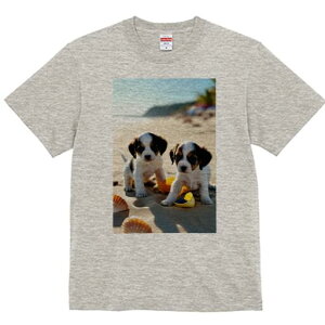 WbNbZeA TVc  j[NfUCfB[X t@  t vg lJWA 킢 lԗp Mtg I ҏ΍ r[` WbNbZeA 