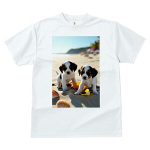 WbNbZeA TVc  j[NfUCfB[X t@  t vg lJWA 킢 lԗp Mtg I ҏ΍ r[` WbNbZeA 