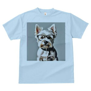 EGXgnChzCgeA TVc  j[NfUCfB[X t@  t vg lJWA 킢 lԗp Mtg I ҏ΍ Kl EGXgnC