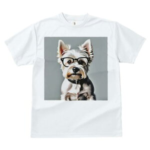 EGXgnChzCgeA TVc  j[NfUCfB[X t@  t vg lJWA 킢 lԗp Mtg I ҏ΍ Kl EGXgnC