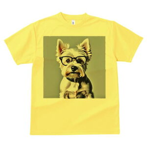 EGXgnChzCgeA TVc  j[NfUCfB[X t@  t vg lJWA 킢 lԗp Mtg I ҏ΍ Kl EGXgnC