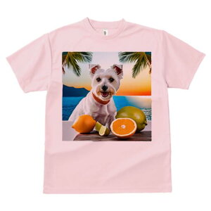 EGXgnChzCgeA TVc  j[NfUCfB[X t@  t vg lJWA 킢 lԗp Mtg I ҏ΍ k EGXgnC