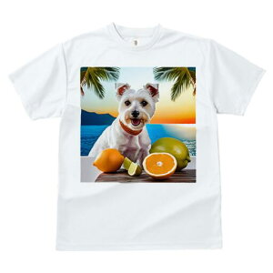 EGXgnChzCgeA TVc  j[NfUCfB[X t@  t vg lJWA 킢 lԗp Mtg I ҏ΍ k EGXgnC