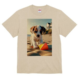 WbNbZeA TVc  j[NfUCfB[X t@  t vg lJWA 킢 lԗp Mtg I ҏ΍ r[` WbNbZeA 