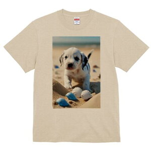 _VA TVc  j[NfUCfB[X t@  t vg lJWA 킢 lԗp Mtg I ҏ΍ r[` _VA C  Lk