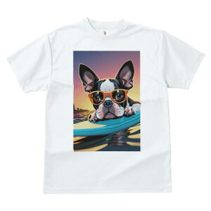 {XgeA TVc  j[NfUCY LbY t@  t vg lJWA 킢 lԗp Mtg I ҏ΍ TOX {XgeA T[tB 