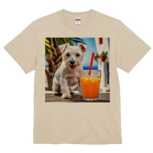 �E�G�X�g�n�C�����h�z���C�g�e���A T�V���c ���� ���j�[�N�f�U�C�����f�B�[�X ���t�@�� ���� �t�� �v�����g ��l�J�W���A�� ���킢�� �l�ԗp �M�t�g ���I �ҏ��΍� �W���[�X �E�G�X�g�n�C