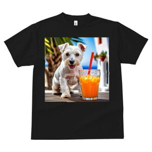 EGXgnChzCgeA TVc  j[NfUCfB[X t@  t vg lJWA 킢 lԗp Mtg I ҏ΍ W[X EGXgnC