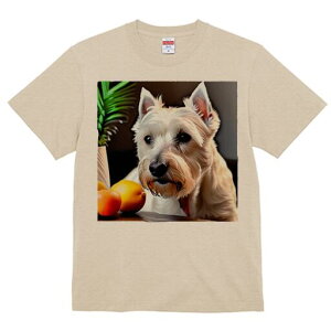 EGXgnChzCgeA TVc  j[NfUCfB[X t@  t vg lJWA 킢 lԗp Mtg I ҏ΍ A EGXgnC