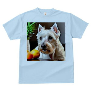 EGXgnChzCgeA TVc  j[NfUCfB[X t@  t vg lJWA 킢 lԗp Mtg I ҏ΍ A EGXgnC