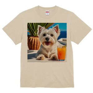 EGXgnChzCgeA TVc  j[NfUCfB[X t@  t vg lJWA 킢 lԗp Mtg I ҏ΍ ݕ EGXgnC