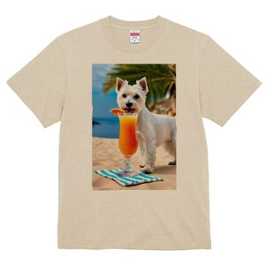 EGXgnChzCgeA TVc  j[NfUCY LbY t@  t vg lJWA 킢 lԗp Mtg I ҏ΍ r[` EGXgn