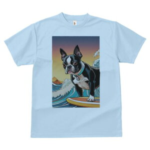 {XgeA TVc  j[NfUCY LbY t@  t vg lJWA 킢 lԗp Mtg I ҏ΍ g {XgeA T[tB C