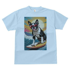 {XgeA TVc  j[NfUCfB[X t@  t vg lJWA 킢 lԗp Mtg I ҏ΍ T[tB {XgeA C g z