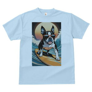 {XgeA TVc  j[NfUCfB[X t@  t vg lJWA 킢 lԗp Mtg I ҏ΍ T[tB {XgeA g TOX 