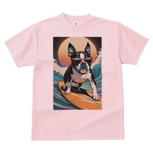 {XgeA TVc  j[NfUCfB[X t@  t vg lJWA 킢 lԗp Mtg I ҏ΍ T[tB {XgeA g TOX 