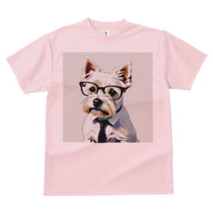 EGXgnChzCgeA TVc  j[NfUCfB[X t@  t vg lJWA 킢 lԗp Mtg I ҏ΍ Kl EGXgnC