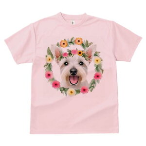 EGXgnChzCgeA TVc  j[NfUCfB[X t@  t vg lJWA 킢 lԗp Mtg I ҏ΍  EGXgnCh