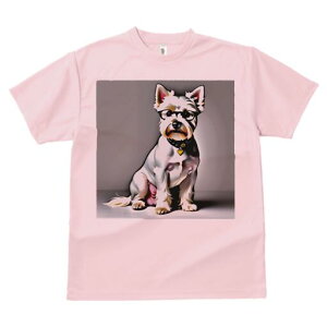 EGXgnChzCgeA TVc  j[NfUCfB[X t@  t vg lJWA 킢 lԗp Mtg I ҏ΍ Kl EGXgnC