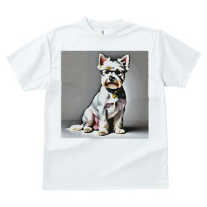 EGXgnChzCgeA TVc  j[NfUCY LbY t@  t vg lJWA 킢 lԗp Mtg I ҏ΍ Kl EGXgn