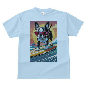 {XgeA TVc  j[NfUCY LbY t@  t vg lJWA 킢 lԗp Mtg I ҏ΍ T[tB {XgeA C z T