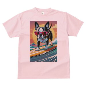 {XgeA TVc  j[NfUCfB[X t@  t vg lJWA 킢 lԗp Mtg I ҏ΍ T[tB {XgeA C z TO