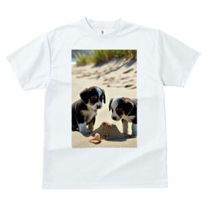 o[j[Y}EehbO TVc  j[NfUCfB[X t@  t vg lJWA 킢 lԗp Mtg I ҏ΍ l o[j[Y}Eeh