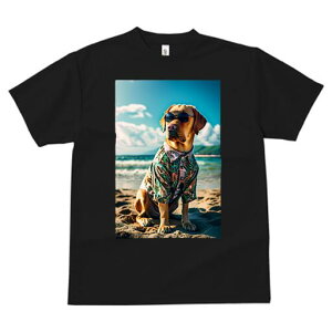 uh[go[ TVc  j[NfUCfB[X t@  t vg lJWA 킢 lԗp Mtg I ҏ΍ AnVc uh[g