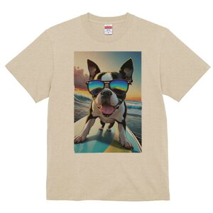 {XgeA TVc  j[NfUCfB[X t@  t vg lJWA 킢 lԗp Mtg I ҏ΍ T[tB {XgeA C g TO