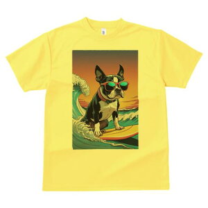 {XgeA TVc  j[NfUCfB[X t@  t vg lJWA 킢 lԗp Mtg I ҏ΍ g {XgeA T[tB TOX 