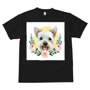 EGXgnChzCgeA TVc  j[NfUCfB[X t@  t vg lJWA 킢 lԗp Mtg I ҏ΍  EGXgnCh