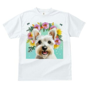 EGXgnChzCgeA TVc  j[NfUCfB[X t@  t vg lJWA 킢 lԗp Mtg I ҏ΍  EGXgnCh