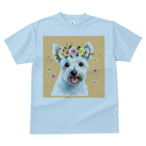 EGXgnChzCgeA TVc  j[NfUCfB[X t@  t vg lJWA 킢 lԗp Mtg I ҏ΍  EGXgnCh