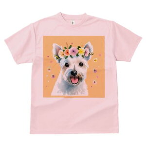 EGXgnChzCgeA TVc  j[NfUCY LbY t@  t vg lJWA 킢 lԗp Mtg I ҏ΍  EGXgnC