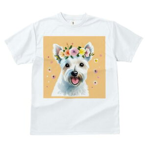 EGXgnChzCgeA TVc  j[NfUCfB[X t@  t vg lJWA 킢 lԗp Mtg I ҏ΍  EGXgnCh