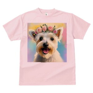 EGXgnChzCgeA TVc  j[NfUCfB[X t@  t vg lJWA 킢 lԗp Mtg I ҏ΍ Ԋ EGXgnC