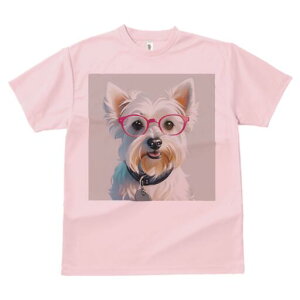 EGXgnChzCgeA TVc  j[NfUCY LbY t@  t vg lJWA 킢 lԗp Mtg I ҏ΍ Kl EGXgn