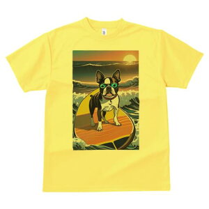 {XgeA TVc  j[NfUCY LbY t@  t vg lJWA 킢 lԗp Mtg I ҏ΍ T[tB {XgeA C g z