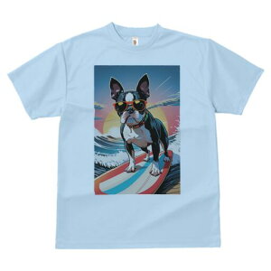 {XgeA TVc  j[NfUCfB[X t@  t vg lJWA 킢 lԗp Mtg I ҏ΍ T[tB {XgeA C g TO