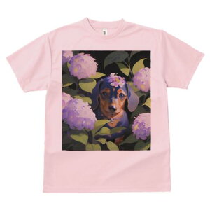 _bNXth TVc  j[NfUCfB[X t@  t vg lJWA 킢 lԗp Mtg I ҏ΍ AWTC _bNXth 