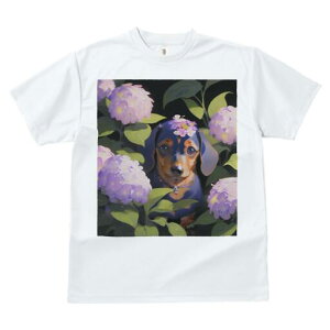 _bNXth TVc  j[NfUCY LbY t@  t vg lJWA 킢 lԗp Mtg I ҏ΍ AWTC _bNXth 