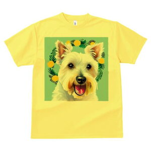 EGXgnChzCgeA TVc  j[NfUCfB[X t@  t vg lJWA 킢 lԗp Mtg I ҏ΍ ԗ EGXgnC