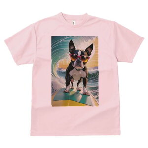 {XgeA TVc  j[NfUCfB[X t@  t vg lJWA 킢 lԗp Mtg I ҏ΍ g {XgeA T[tB TOX 