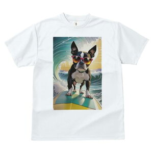 {XgeA TVc  j[NfUCfB[X t@  t vg lJWA 킢 lԗp Mtg I ҏ΍ g {XgeA T[tB TOX 